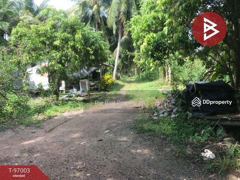 ขาย - ที่ดินอัมพวา สมุทรสงคราม, สมุทรสงคราม