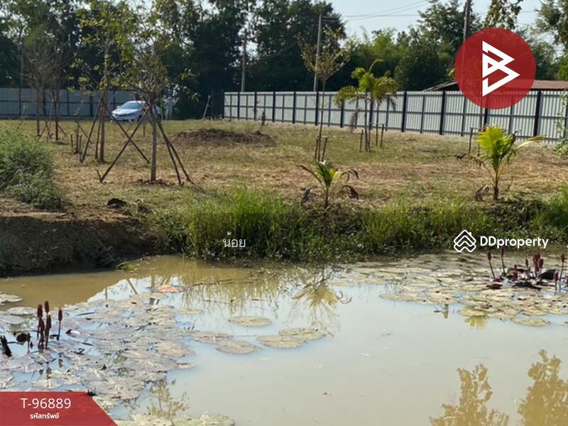 ขาย - ที่ดินท่าโพธิ์ พิษณุโลก, พิษณุโลก