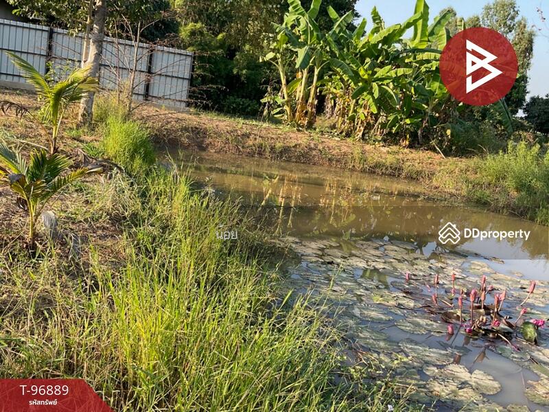 ขาย - ที่ดินท่าโพธิ์ พิษณุโลก, พิษณุโลก