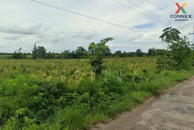 ขาย - ที่ดินเปล่า บ้านโนน-หนองใหญ่ (สก.4012) Empty land, Ban Non-Nong Yai (SorKor.4012), สระแก้ว