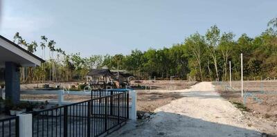 ขาย - ที่ดินอ.นาสาร, สุราษฎร์ธานี