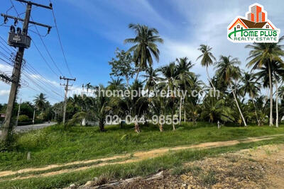 ขาย - ตำบลธงชัย อำเภอบางสะพาน ประจวบคีรีขันธ์, ประจวบคีรีขันธ์