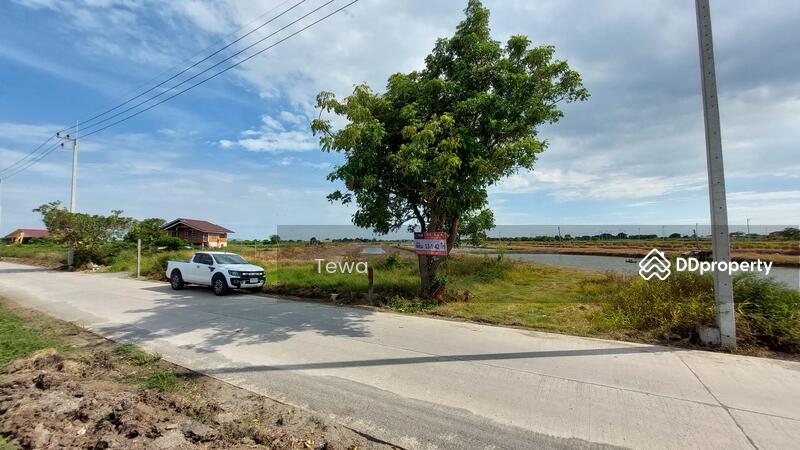 ขาย - อ.บางปะกง, ฉะเชิงเทรา