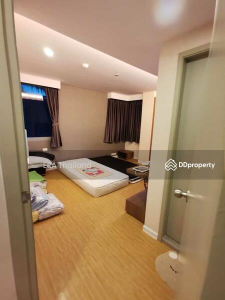 For Sale - Siamese Nang Linchee, Bangkok