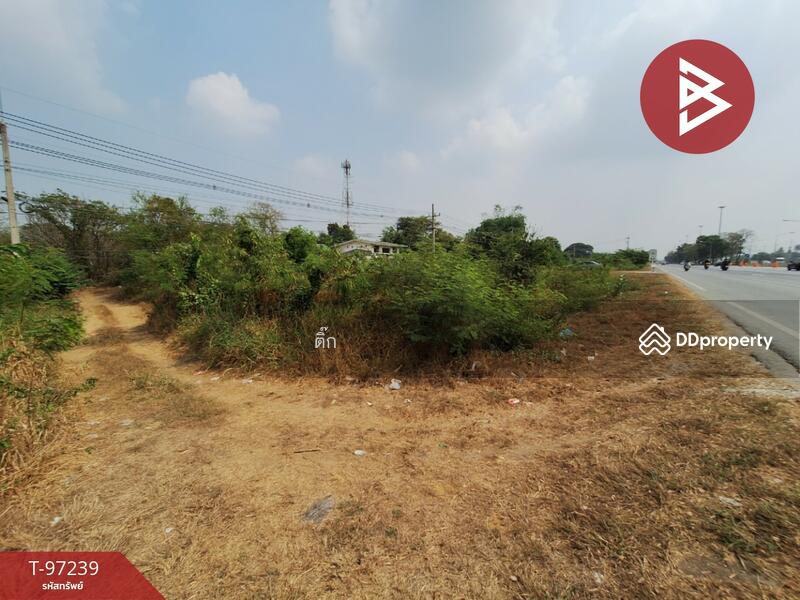 For Sale - ที่ดินไชโย อ่างทอง, Ang Thong