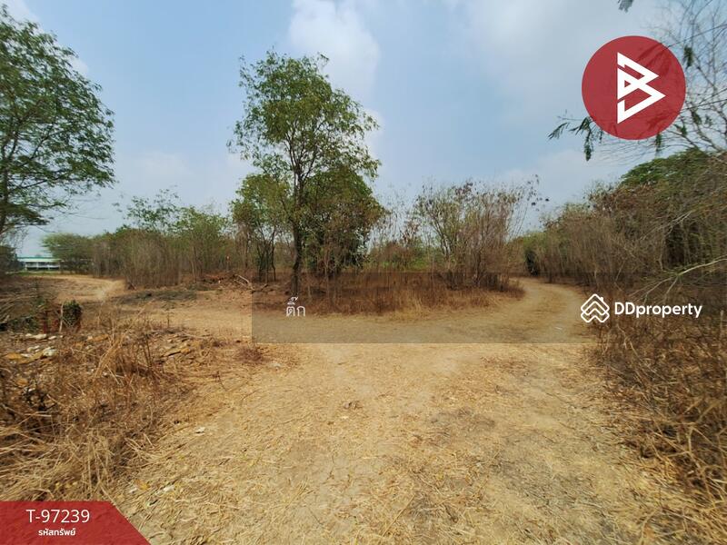 For Sale - ที่ดินไชโย อ่างทอง, Ang Thong