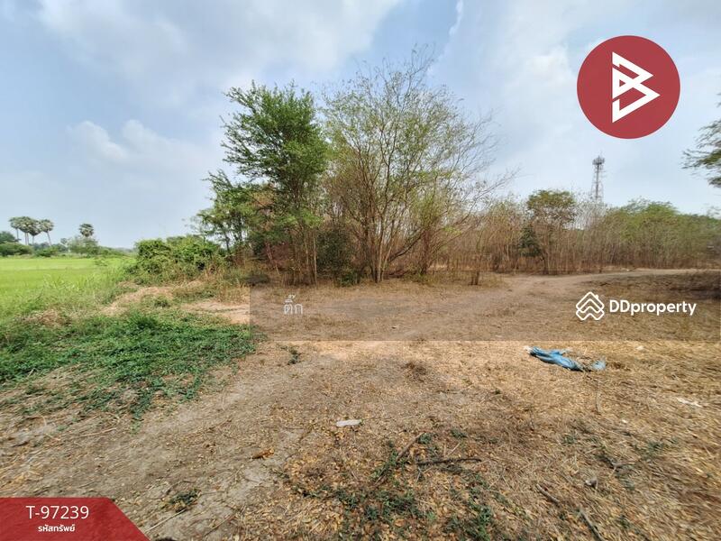 For Sale - ที่ดินไชโย อ่างทอง, Ang Thong