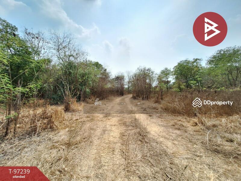 For Sale - ที่ดินไชโย อ่างทอง, Ang Thong