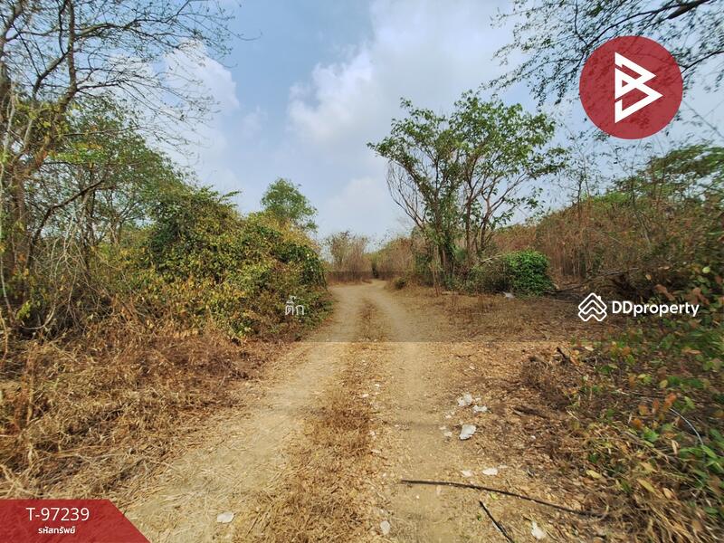 For Sale - ที่ดินไชโย อ่างทอง, Ang Thong