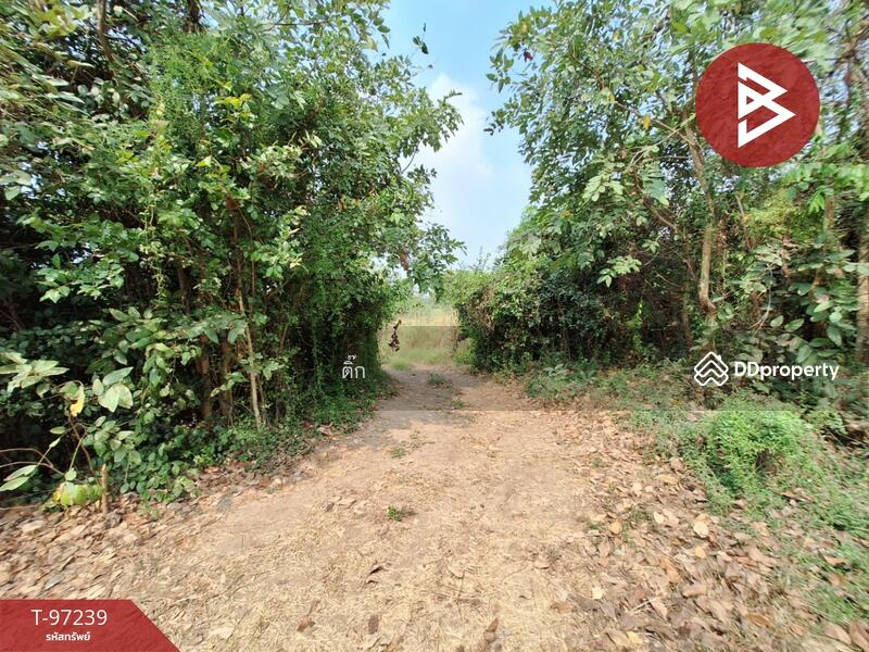 For Sale - ที่ดินไชโย อ่างทอง, Ang Thong