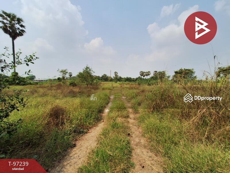 For Sale - ที่ดินไชโย อ่างทอง, Ang Thong