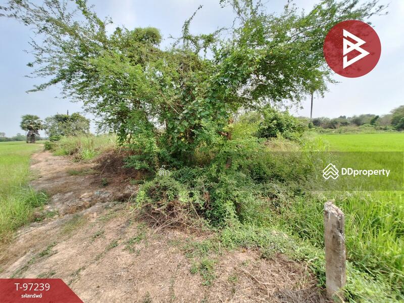 For Sale - ที่ดินไชโย อ่างทอง, Ang Thong