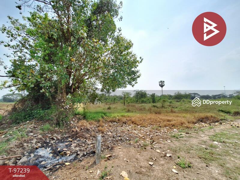 For Sale - ที่ดินไชโย อ่างทอง, Ang Thong