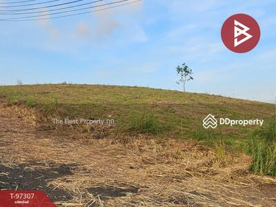 ขาย - ที่ดินเขาค้อ เพชรบูรณ์, เพชรบูรณ์