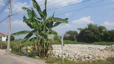 ขาย - ขายที่ดินสายไหม 171.20 ตร.ว. เดินทางสะดวกใกล้รถไฟฟ้า BTS สายสีเขียว, กรุงเทพ