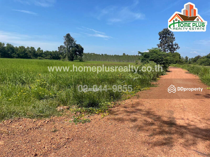 ขาย - 25140, ปราจีนบุรี