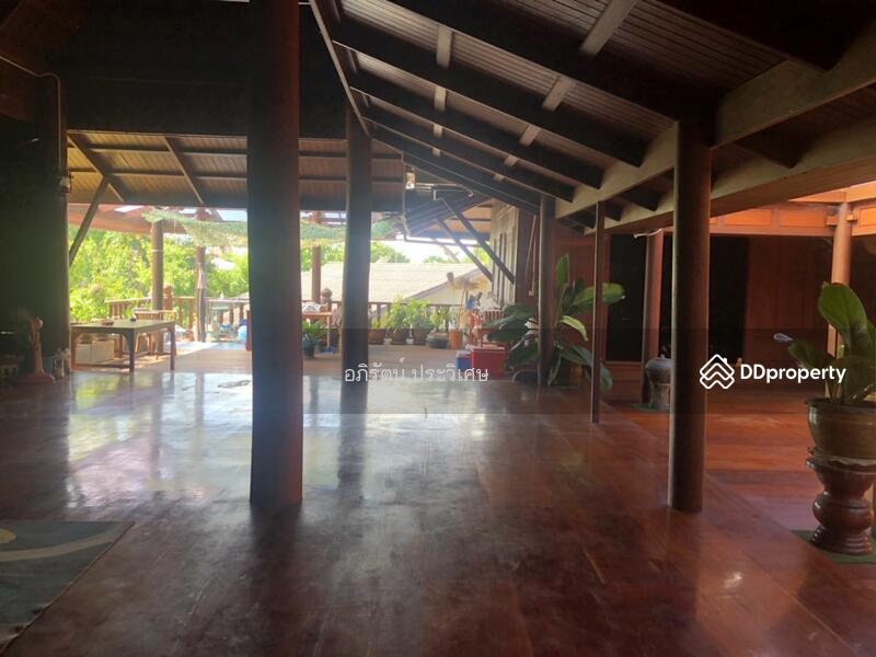 ขาย - ขายบ้านไม้ทรงสวยย้อนยุค บ้านไม้สูงสวยในตัวเมืองหนองคายจะหายาก ใกล้กับตลาดวัดธาตุติดถนน 4เลน, หนองคาย