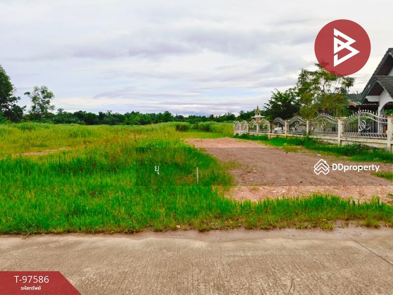 ขาย - ที่ดินท่าแซะ ชุมพร, ชุมพร