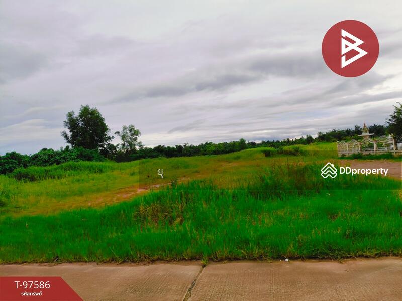 ขาย - ที่ดินท่าแซะ ชุมพร, ชุมพร