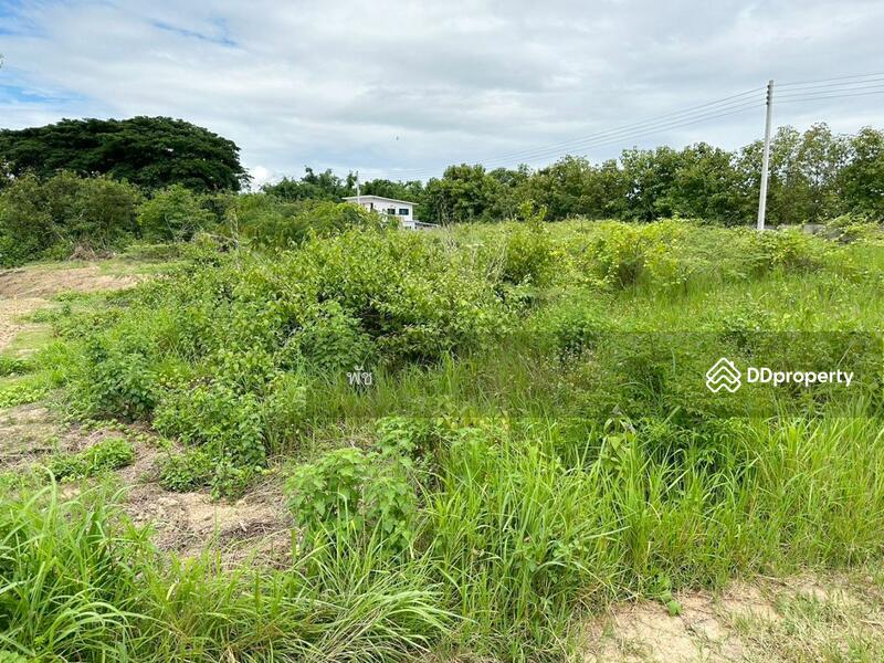 ขาย - ที่ดินแม่กา พะเยา, พะเยา