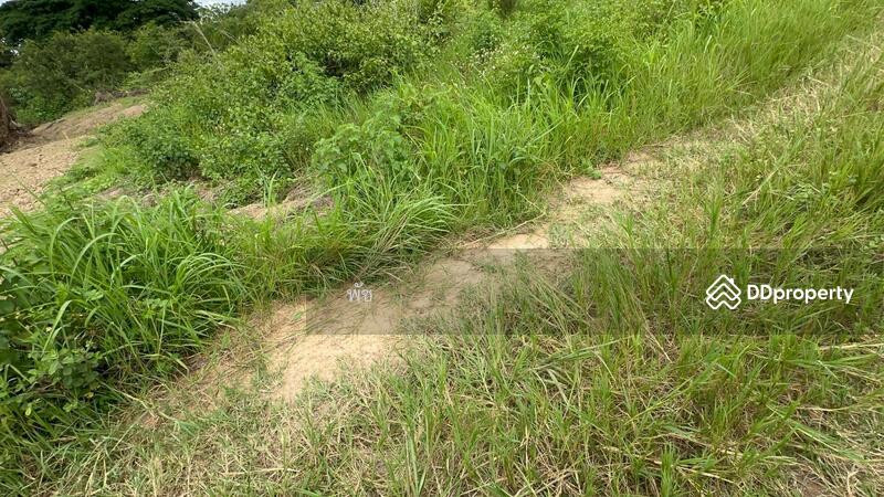 ขาย - ที่ดินแม่กา พะเยา, พะเยา