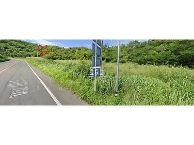ขาย - 43695 – ขายที่ดินถนนธนะรัชต์,ปากช่อง ใกล้เขาใหญ่ เนื้อที่ 8-3-68 ไร่, นครราชสีมา