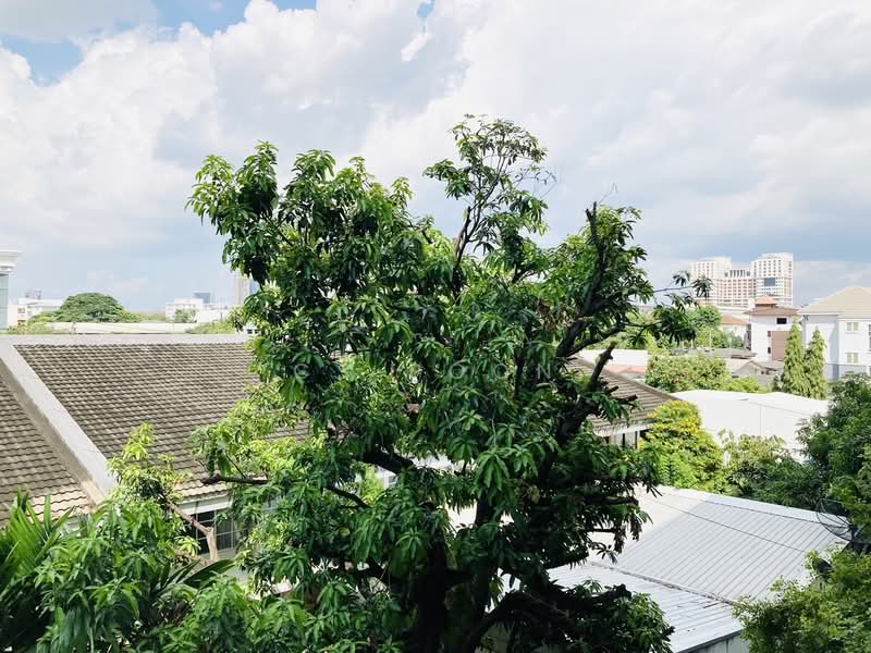 Taka Haus, Bangkok, 99 Soi Ekamai 10, Khlong Tan Nua, Watthana, Bangkok, 1 Bedroom, 34 sqm, Condo For Rent, by CS Poon, 11617001 - DDproperty.com