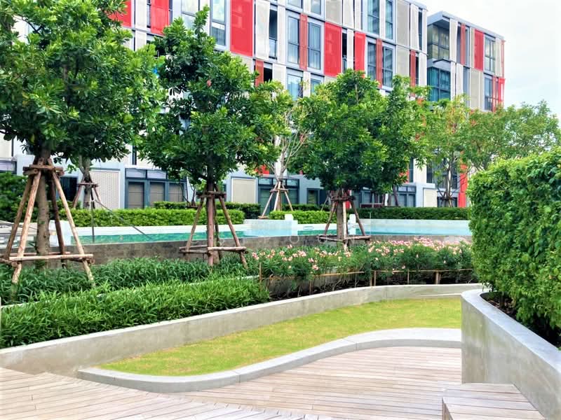Taka Haus, Bangkok, 99 Soi Ekamai 10, Khlong Tan Nua, Watthana, Bangkok, 1 Bedroom, 34 sqm, Condo For Rent, by CS Poon, 11617001 - DDproperty.com
