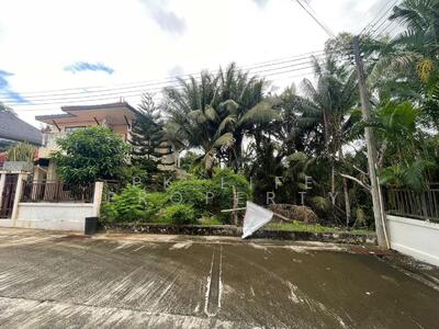 ขาย - 1L0001 Land for sale 248 square meters 4,200,000 baht located near Naiyang beach, ภูเก็ต