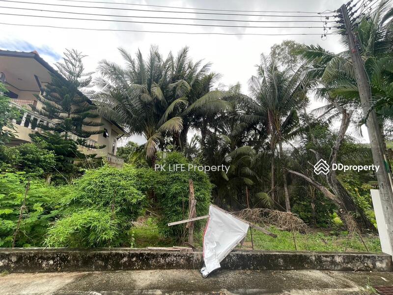 ขาย - 1L0001 Land for sale 248 square meters 4,200,000 baht located near Naiyang beach, ภูเก็ต