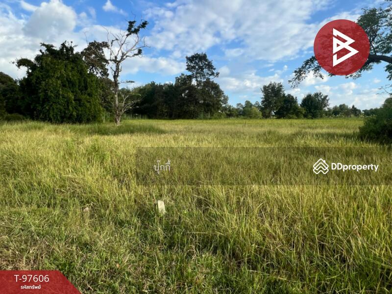 ขาย - ที่ดินหนองบัว อุดรธานี, อุดรธานี