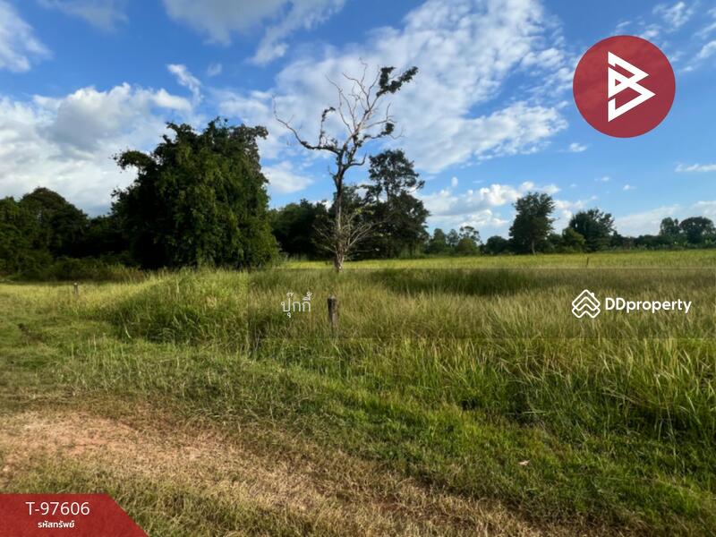 ขาย - ที่ดินหนองบัว อุดรธานี, อุดรธานี