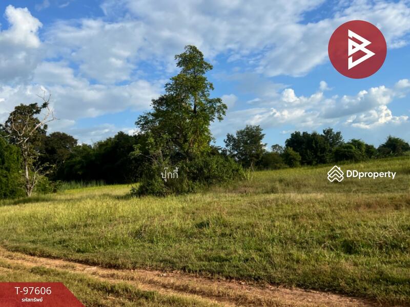 ขาย - ที่ดินหนองบัว อุดรธานี, อุดรธานี