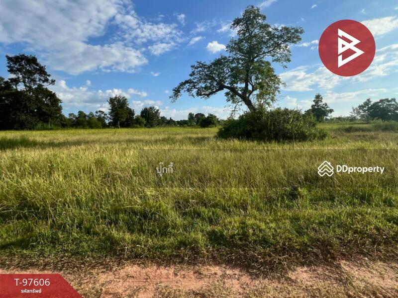 ขาย - ที่ดินหนองบัว อุดรธานี, อุดรธานี