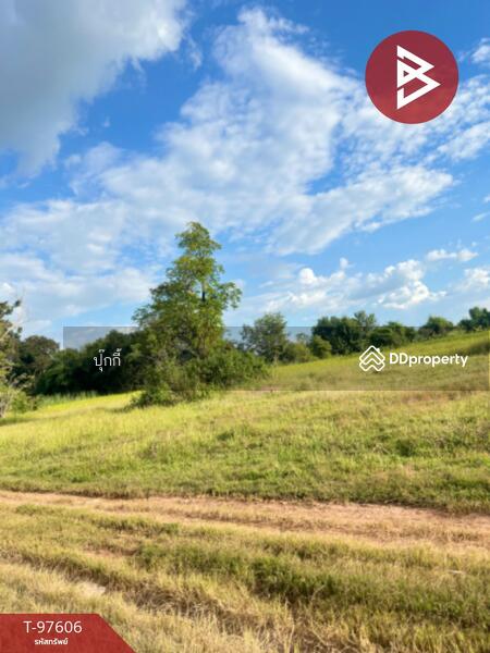 ขาย - ที่ดินหนองบัว อุดรธานี, อุดรธานี