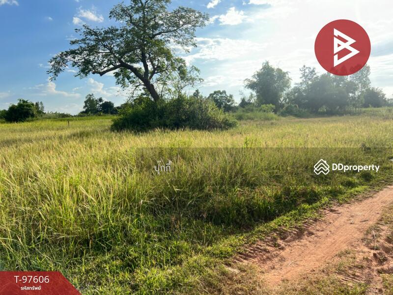 ขาย - ที่ดินหนองบัว อุดรธานี, อุดรธานี