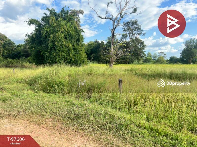 ขาย - ที่ดินหนองบัว อุดรธานี, อุดรธานี
