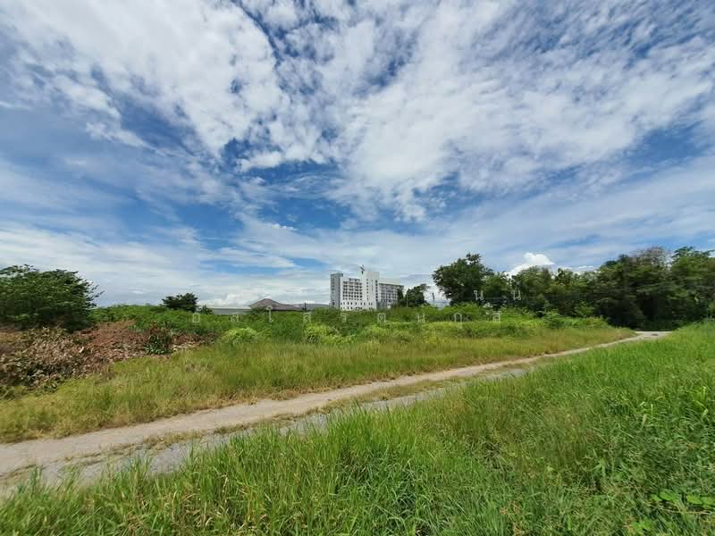 ขาย - ที่ดิน 2-2-98 ไร่ ใกล้ รพ สินแพทย์ นครปฐม, นครปฐม