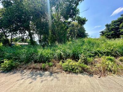 ขาย - ที่ดินเปล่า นาพร้าว ศรีราชา ชลบุรี, ชลบุรี