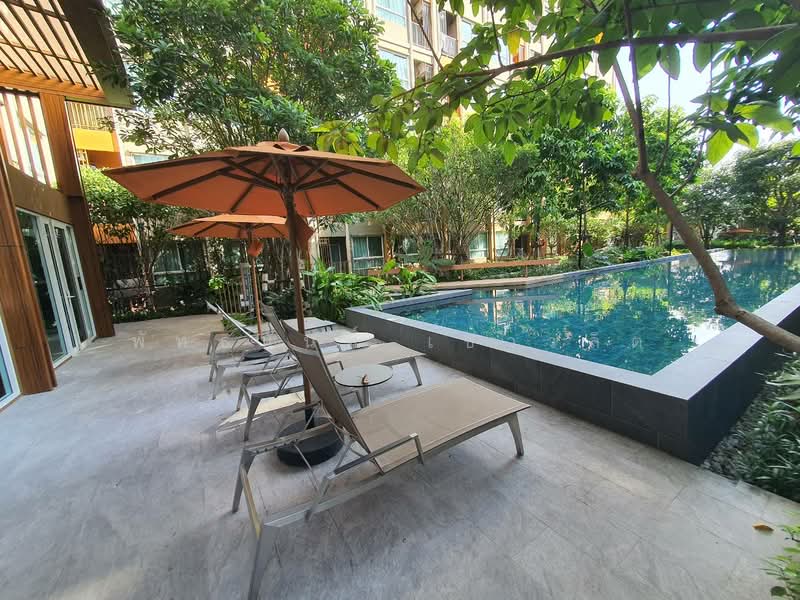 Dcondo Panaa : ดีคอนโด พนา, กรุงเทพ, 188 ถนน เลียบทางรถไฟตลิ่งชัน, บางขุนศรี, บางกอกน้อย, กรุงเทพ, 27 ตร.ม., คอนโด ให้เช่า, โดย พัทธนันท์ เชาวลิต, 11623132 - DDproperty.com