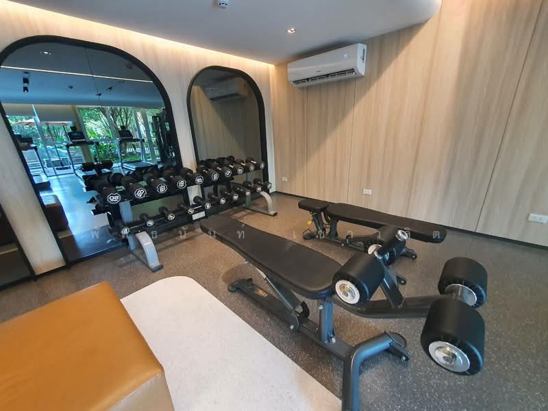 Dcondo Panaa : ดีคอนโด พนา, กรุงเทพ, 188 ถนน เลียบทางรถไฟตลิ่งชัน, บางขุนศรี, บางกอกน้อย, กรุงเทพ, 27 ตร.ม., คอนโด ให้เช่า, โดย พัทธนันท์ เชาวลิต, 11623132 - DDproperty.com