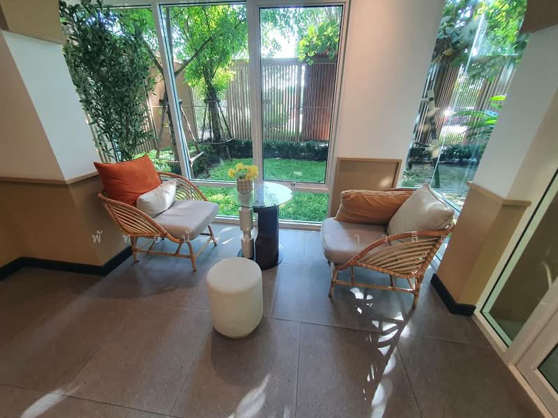 Dcondo Panaa : ดีคอนโด พนา, กรุงเทพ, 188 ถนน เลียบทางรถไฟตลิ่งชัน, บางขุนศรี, บางกอกน้อย, กรุงเทพ, 27 ตร.ม., คอนโด ให้เช่า, โดย พัทธนันท์ เชาวลิต, 11623132 - DDproperty.com