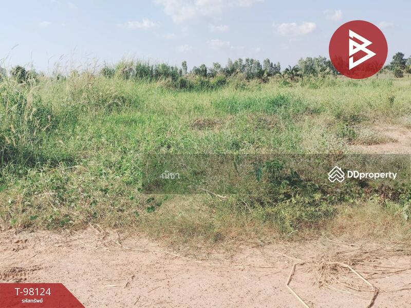 ขาย - ขายที่ดินเปล่าด่วน เนื้อที่ 1 งาน 50 ตร.วา วังทอง พิษณุโลก, พิษณุโลก
