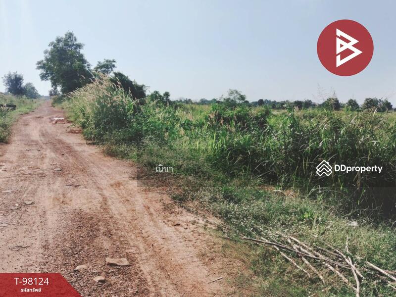 ขาย - ขายที่ดินเปล่าด่วน เนื้อที่ 1 งาน 50 ตร.วา วังทอง พิษณุโลก, พิษณุโลก