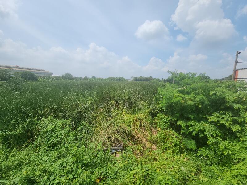 For Sale - ขายที่ดินติดถนนใหญ่ บางบอน 5 | ใกล้พระราม 2 – เอกชัย – เพชรเกษม ที่ดินทำธุรกิจ เกือบ 4 ไร่, Bangkok