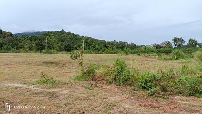 ขาย - ขายที่ดินเชิงเขาสูงกว่าระดับน้ำทะเล 17ไร่หนองรีชลบุรี, ชลบุรี