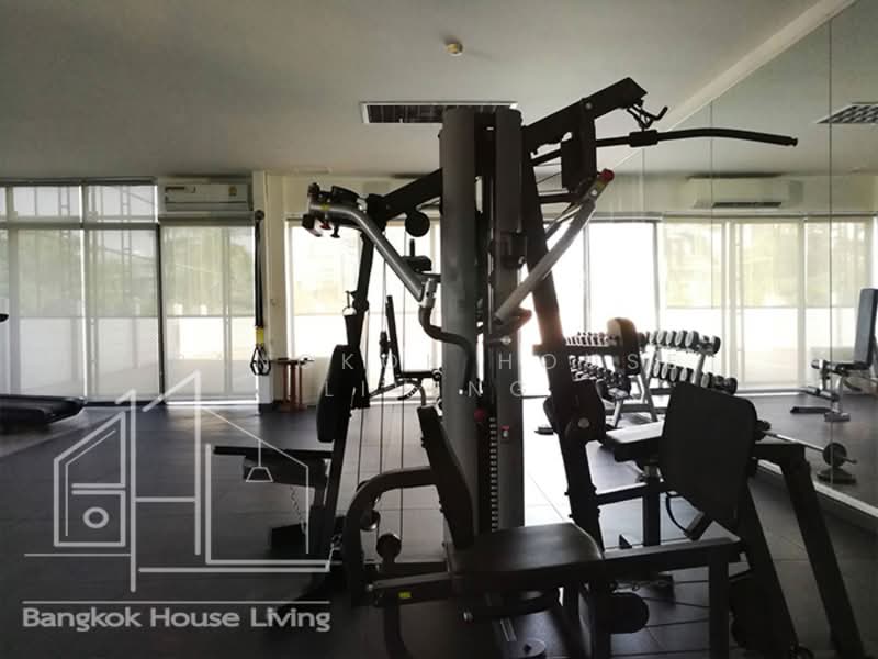 Charan Tower Residences by Aspira, Bangkok, 19 Soi Sukhumvit 43, Khlong Tan Nua, Watthana, Bangkok, 3 Bedrooms, 430 sqm, Condo For Rent, by Bangkok House Living, 11626031 - DDproperty.com