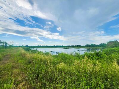 ขาย - ขาย ที่ดิน เปล่า บ่อกุ้ง เนื้อที่ 67-2-03 ไร่ ตำบลท่ากุ่ม อำเภอเมือง จังหวัดตราด ใกล้ถนนใหญ่, ตราด