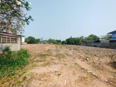 ขาย - ขาย ที่ดินบางเสร่, ชลบุรี