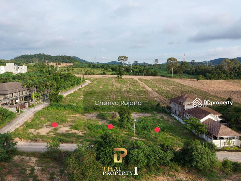 ขาย - ขาย ที่ดินบางเสร่, ชลบุรี